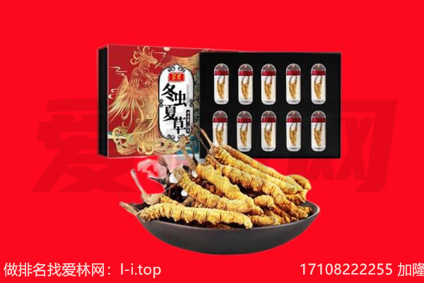 平凉市灵台回收虫草.jpg